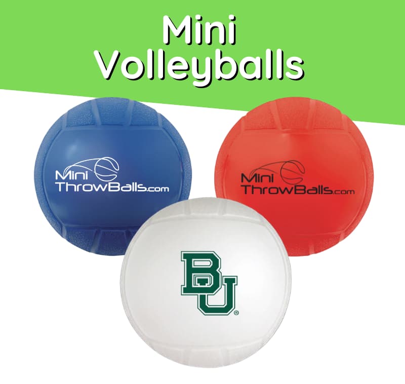   Mini Throw Volleyballs- 4.5